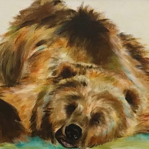 Painting of a sleeping Grizzly Bear by Devon Artist Janie Matthews Read